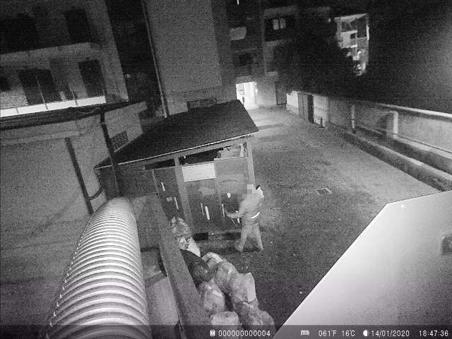 Fototrappole attive, segnalati e individuati sette zozzoni