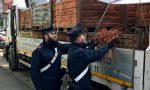 Rame rubato, i carabinieri ne ritrovano e sequestrano dieci tonnellate