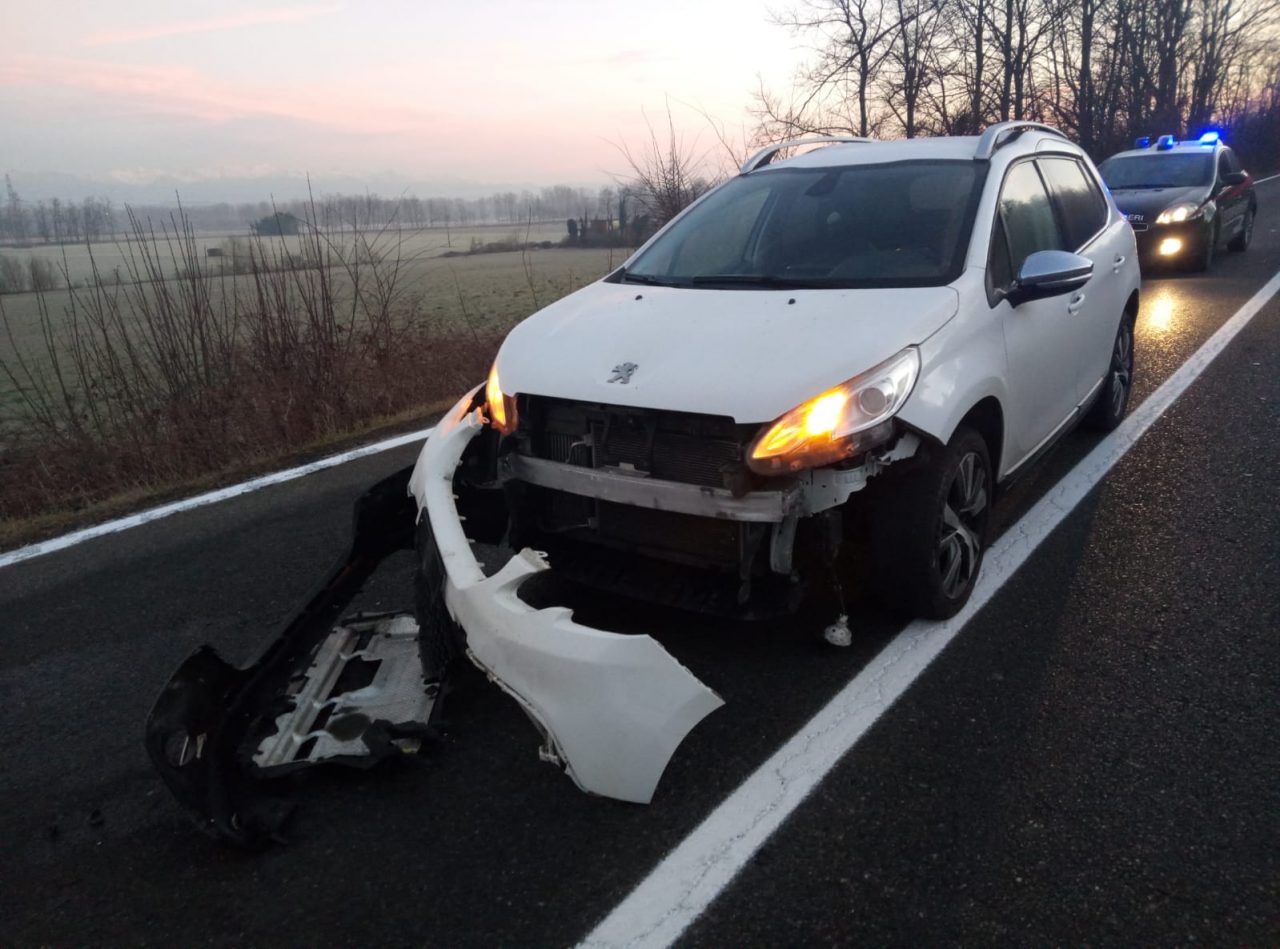Emergenza cinghiali, un altro incidente sulle strade collinari