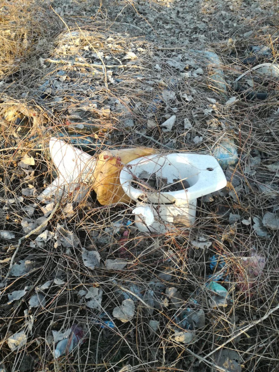 Discariche abusive, la pista ciclabile invasa dai rifiuti