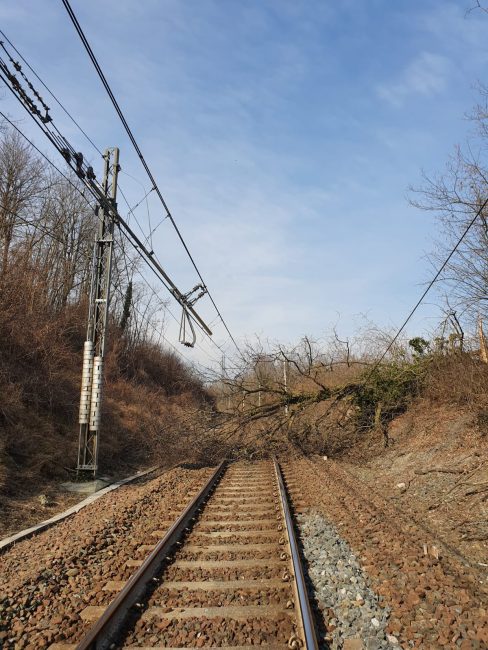 Albero caduto sui binari Chivasso-Aosta, circolazione treni in tilt
