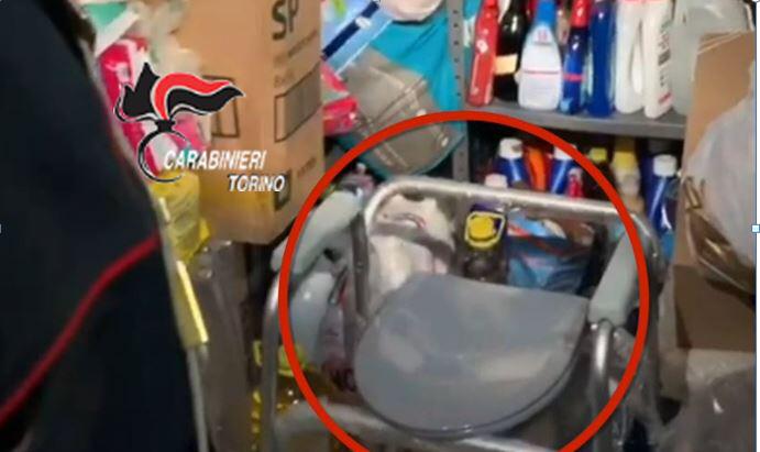 Chiude anziana in cantina, arrestata la badante