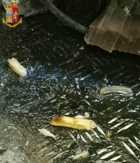 Blatte e sporcizia nel ristorante, chiuso un locale