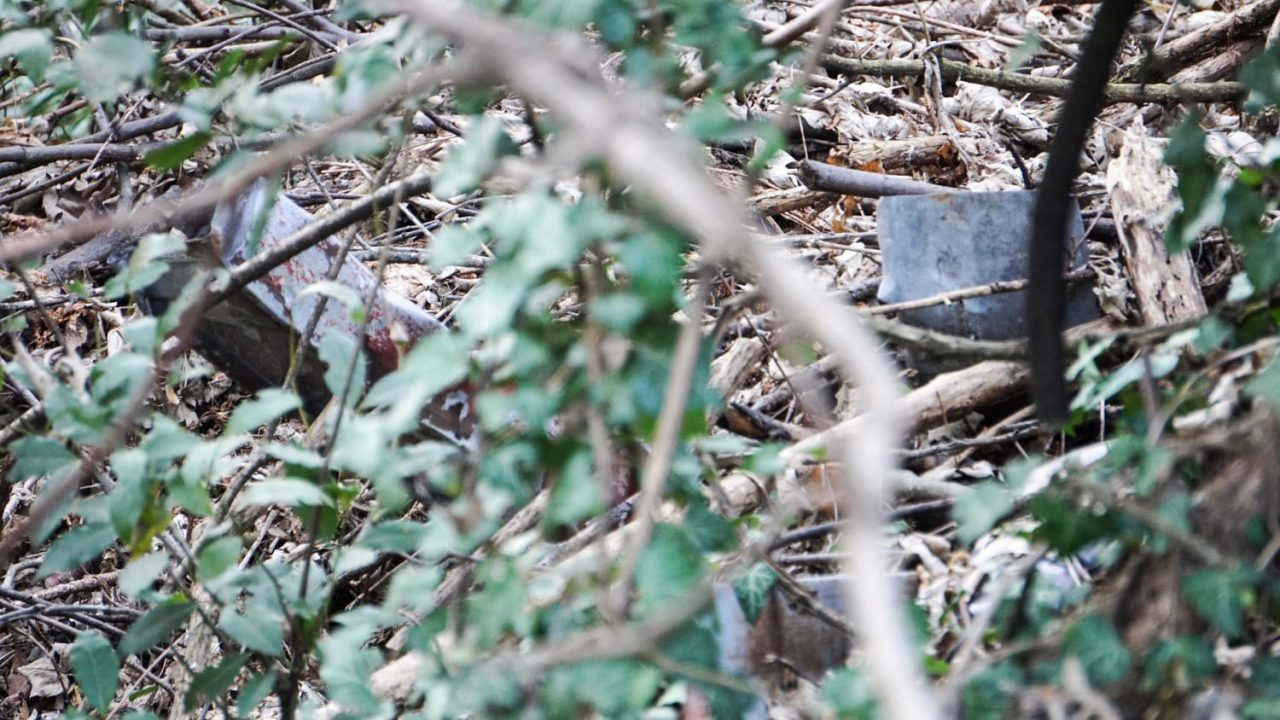 Rifiuti in mezzo al bosco a San Mauro, i cittadini denunciano la situazione alla Polizia