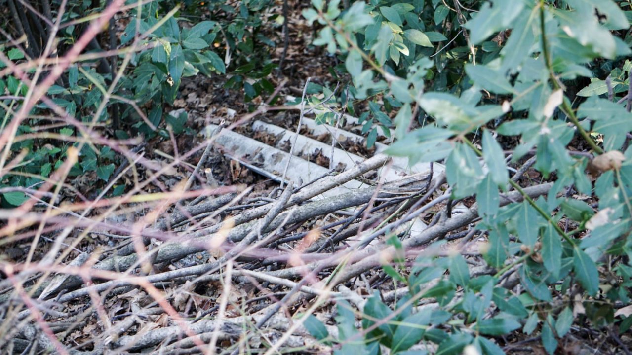 Rifiuti in mezzo al bosco a San Mauro, i cittadini denunciano la situazione alla Polizia