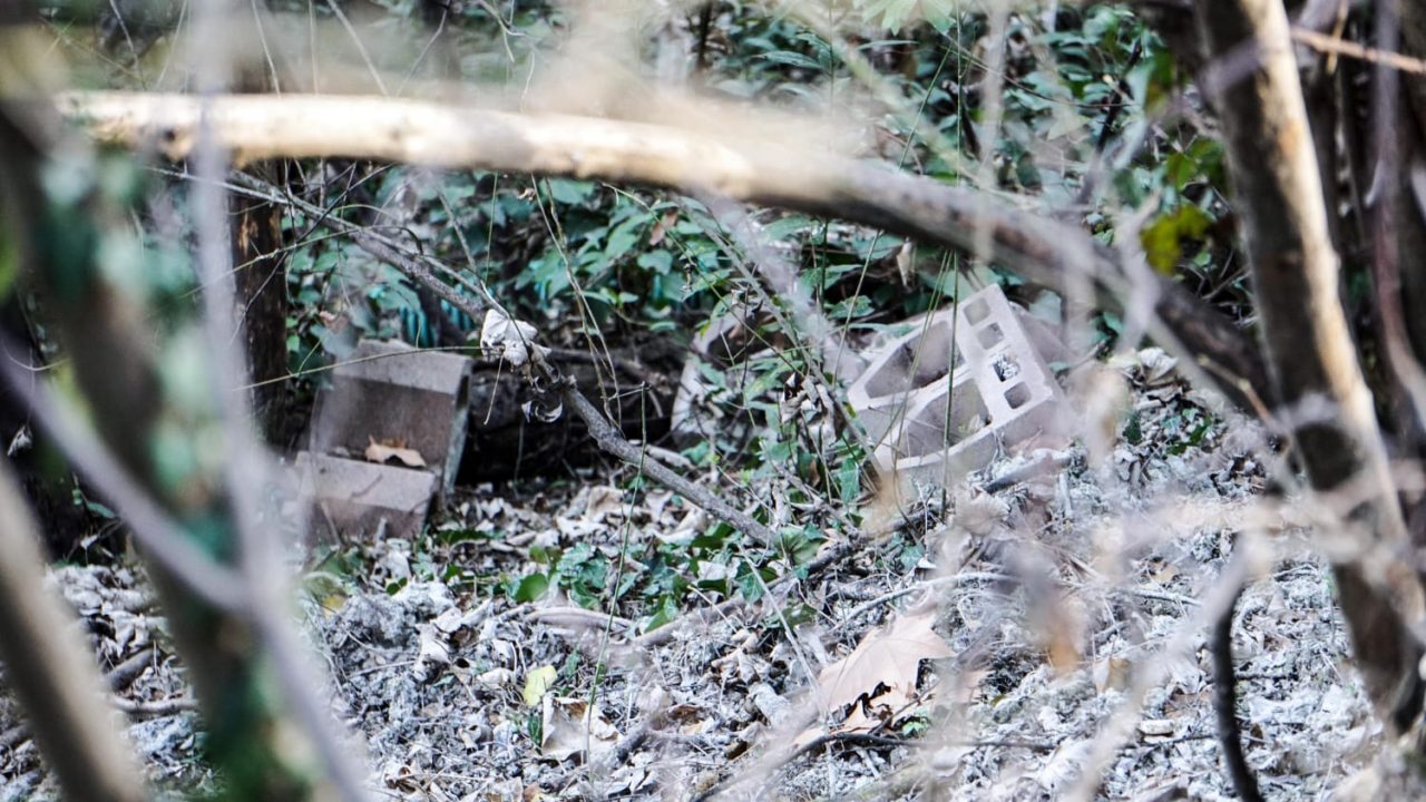 Rifiuti in mezzo al bosco a San Mauro, i cittadini denunciano la situazione alla Polizia