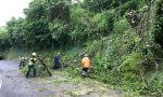 Piante pericolanti in collina, interviente la Protezione Civile Aib. LE FOTO