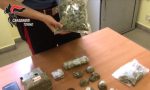 Marijuana speciale scoperta e sequestrata dai carabinieri, è l'Amnèsia VIDEO