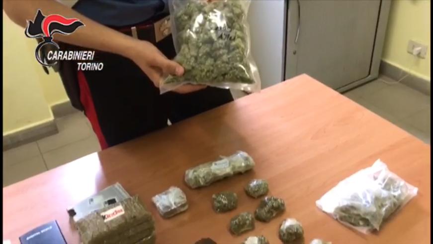 Marijuana speciale scoperta e sequestrata dai carabinieri, è l’Amnèsia VIDEO