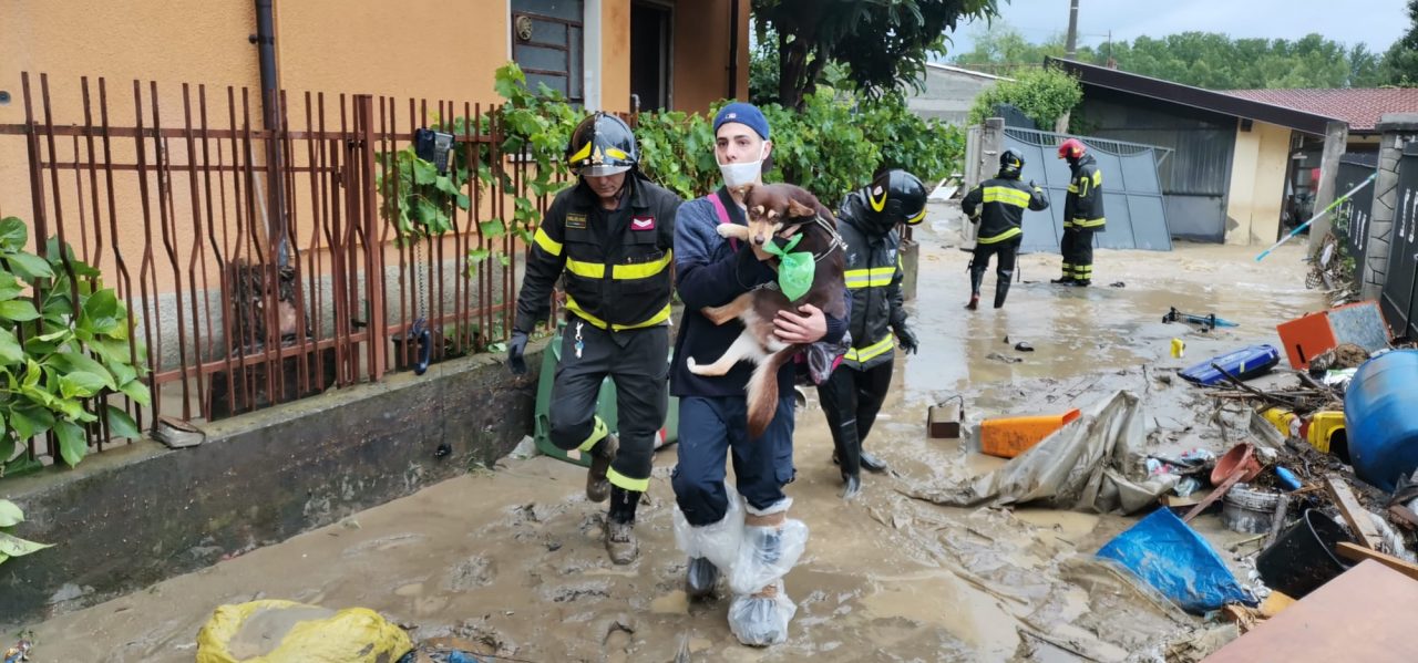 Evacuate 8 famiglie in via Sesia. FOTO E VIDEO