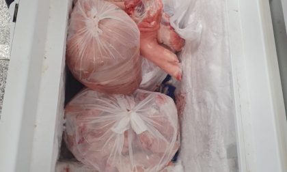Sequestrati dalla Polizia municipale 134 kg di carne e 8  kg di pesce mal conservati