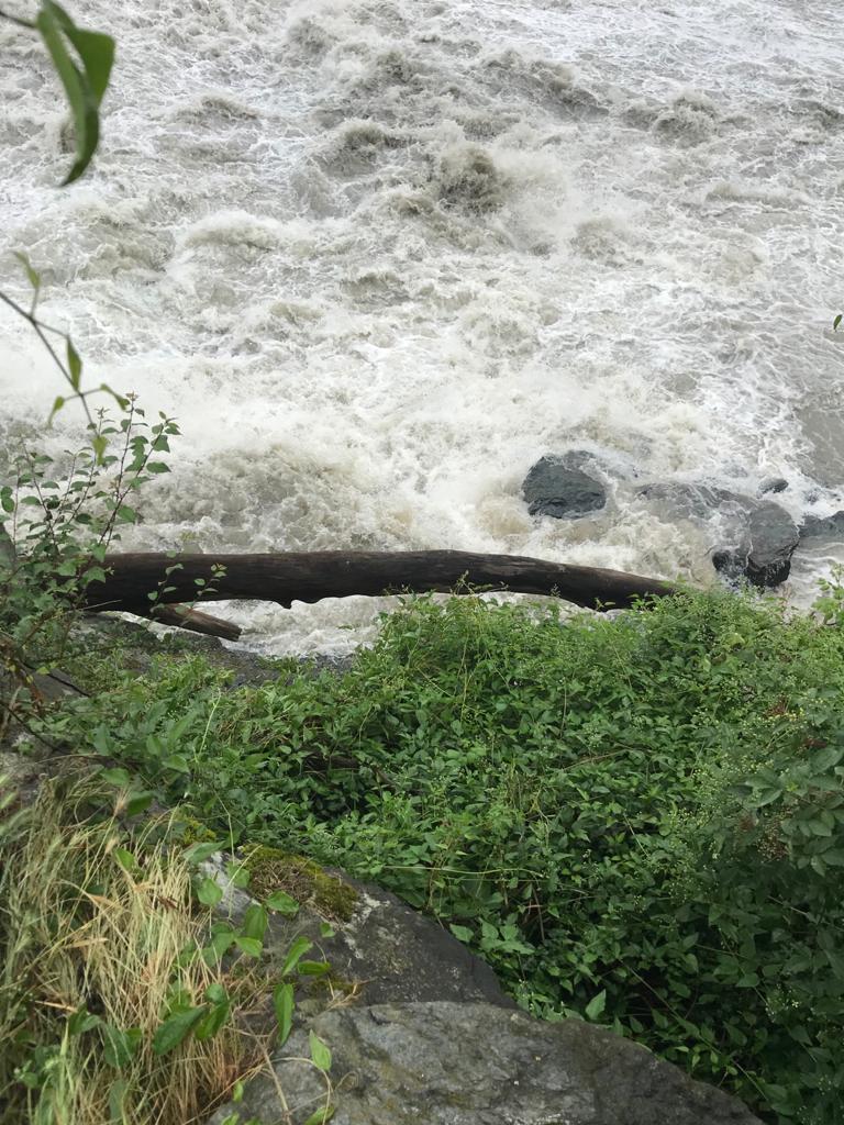 Cade nelle acque del Po, gli agenti della Polizia locale salvano una donna