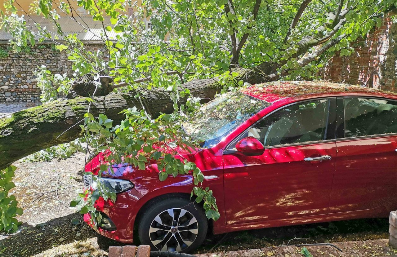 Il maltempo crea danni e disagi anche a Settimo Torinese