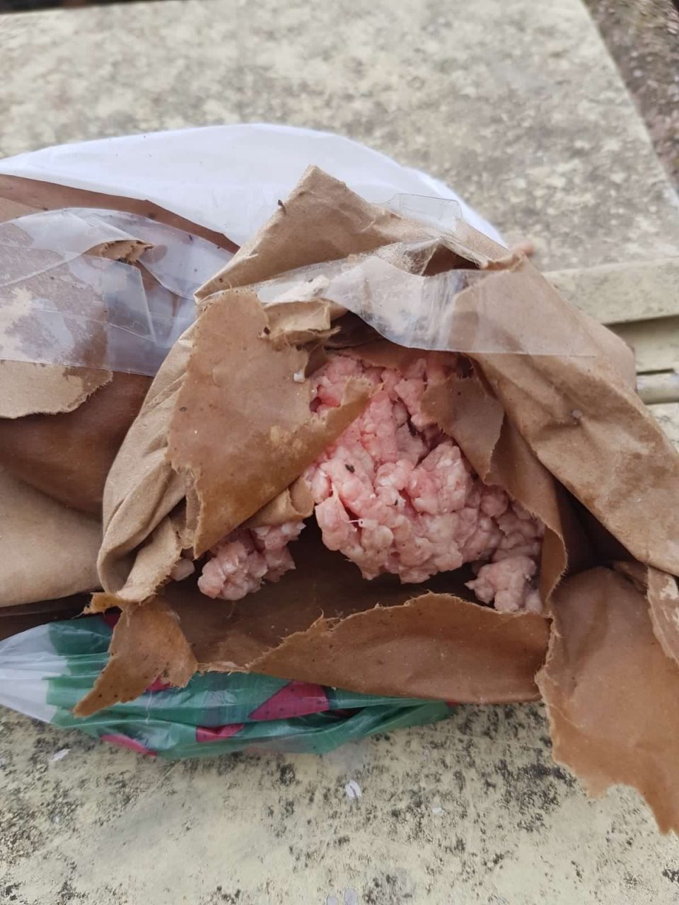 Trovati bocconi avvelenati per uccidere cani a Sciolze