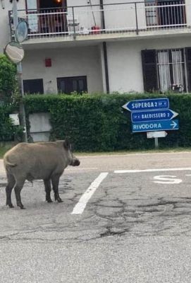 L’allarme dei Comuni: “Manca sicurezza”