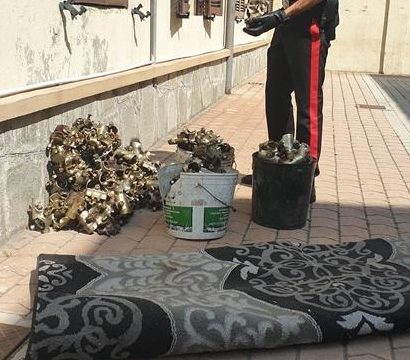 Furto nella ditta chiusa per ferie, i ladri beccati con la refurtiva