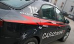 Coltivava marijuana nel giardino di casa: arrestato