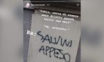 Salvini appeso Tumminiello