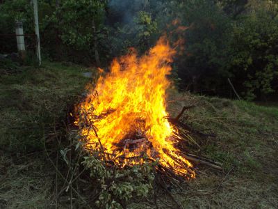 Scatta il divieto di bruciare materiale vegetale