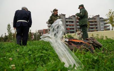 Contro i bocconi killer sono arrivati i cani “anti – veleno”. VIDEO