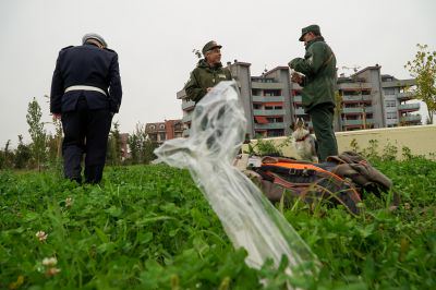 Contro i bocconi killer sono arrivati i cani “anti – veleno”. VIDEO