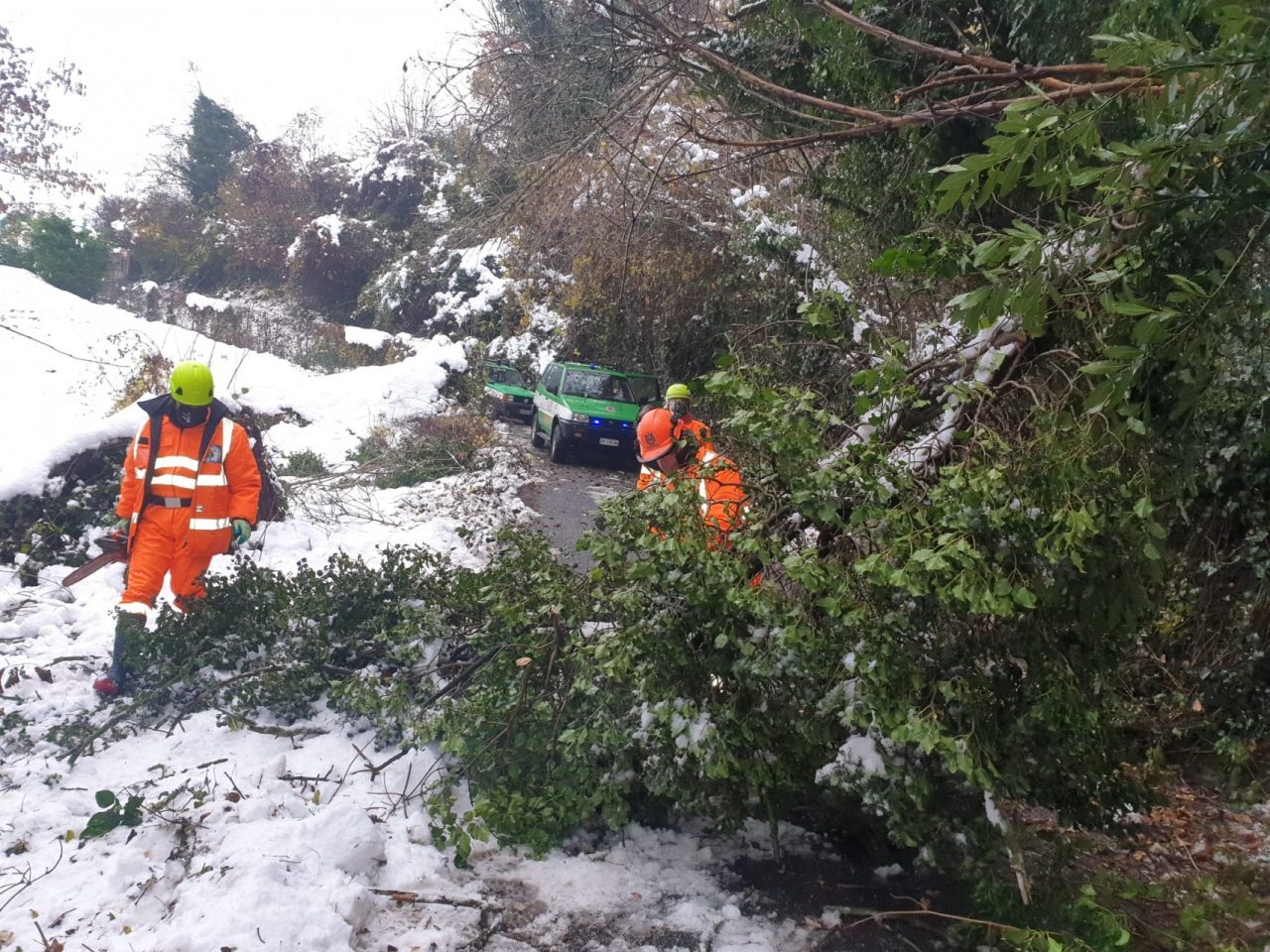 Piante cadute bloccano la borgata: l’intervento dei volontari Aib per liberare la strada