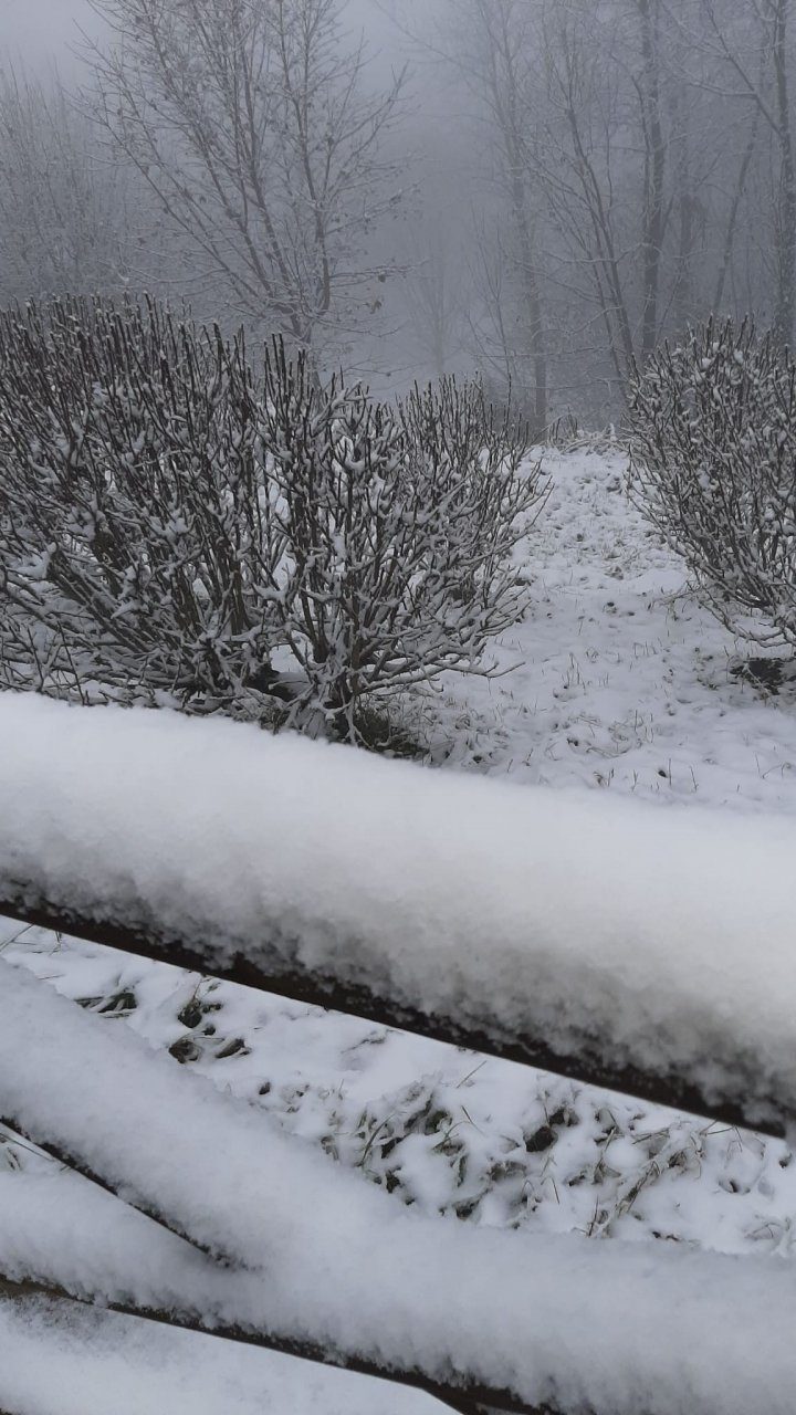 In Piemonte prevista neve anche a bassa quota