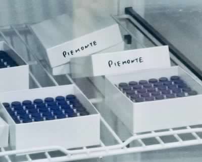 Covid, altre 5564 persone hanno ricevuto la prima dose del vaccino