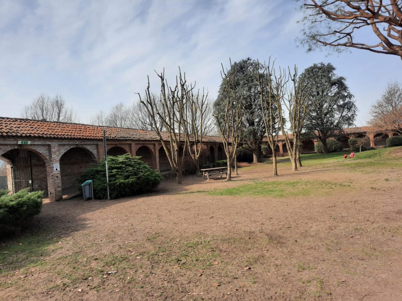 Terminati i lavori di potatura degli alberi. Riaperto il chiostro