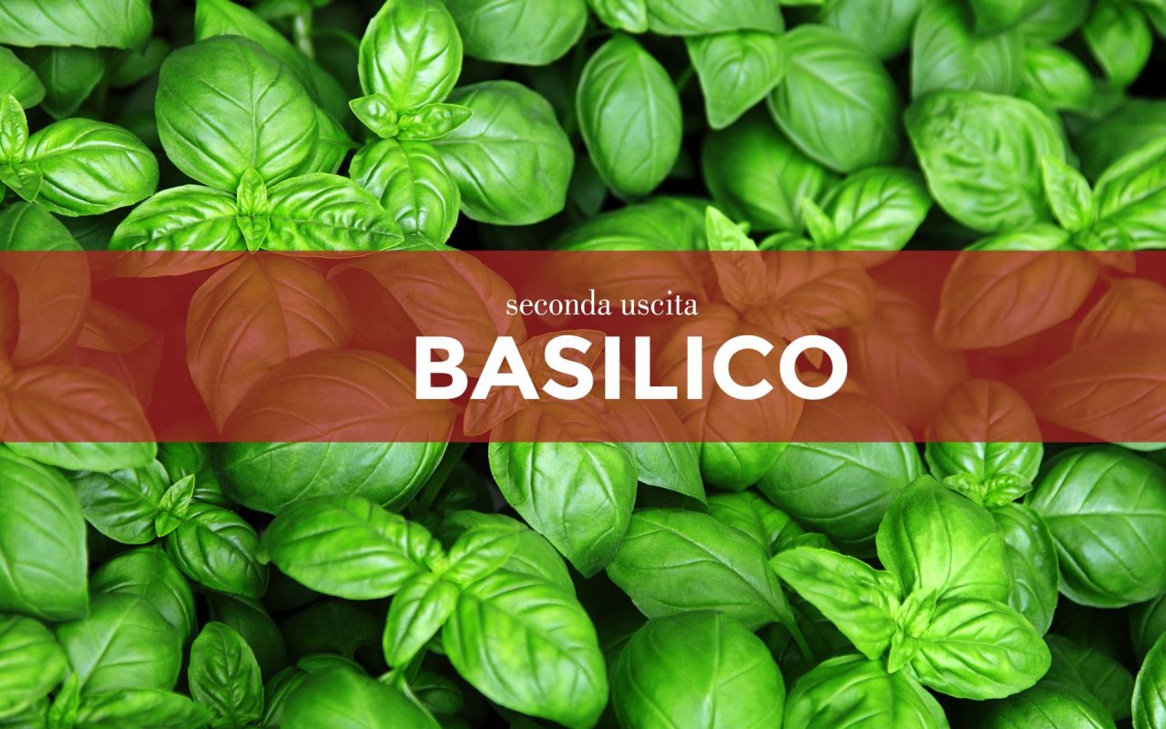 Tutti ortisti: in edicola con La Nuova Periferia di Settimo i semi di basilico