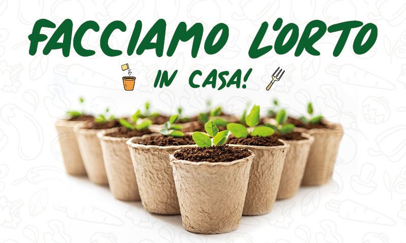 Facciamo l’orto in casa! In regalo con La Nuova Periferia di Settimo
