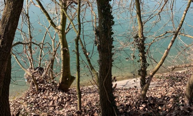 Polizia municipale e Vigili del fuoco salvano una donna scivolata nel Po per recuperare il suo cane