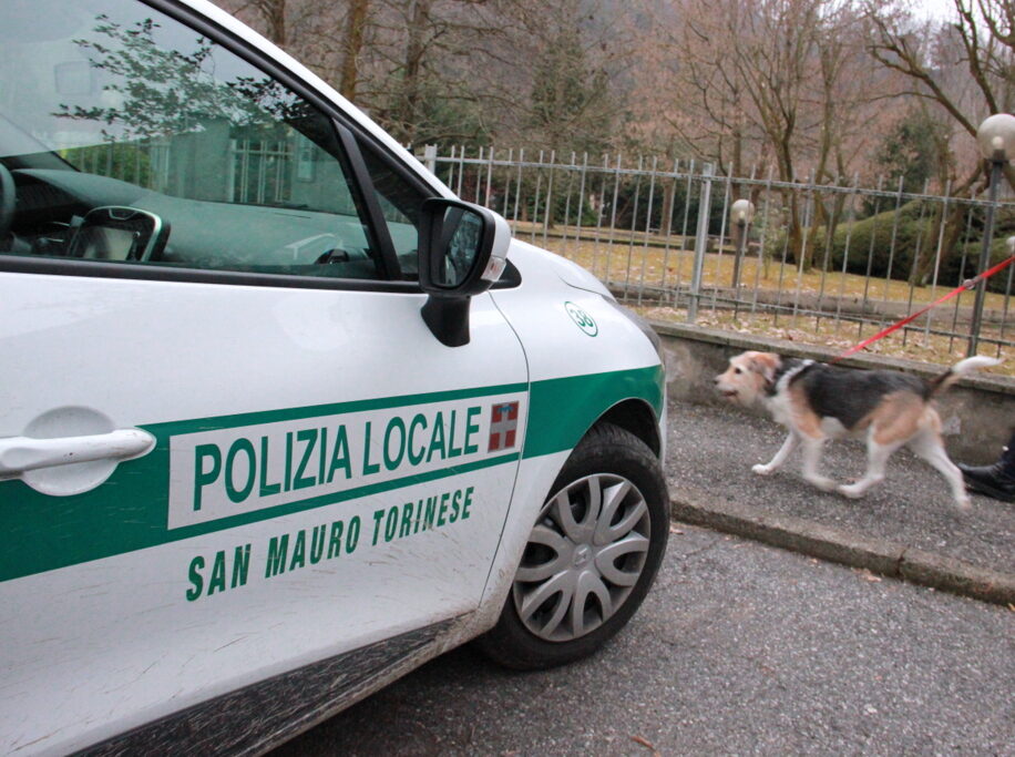 Cane legato e abbandonato sul ballatoio, denunciato il proprietario