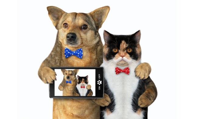 In regalo col giornale un magazine tutto dedicato ai nostri amici animali