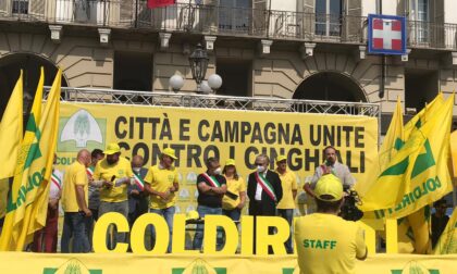 Emergenza cinghiali, i sindaci della collina in piazza con la Coldiretti