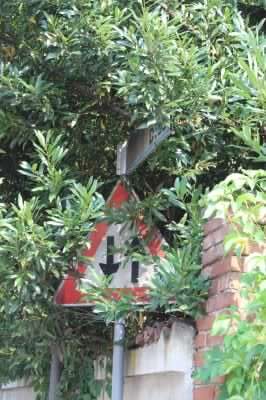 Cartelli stradali maltrattati