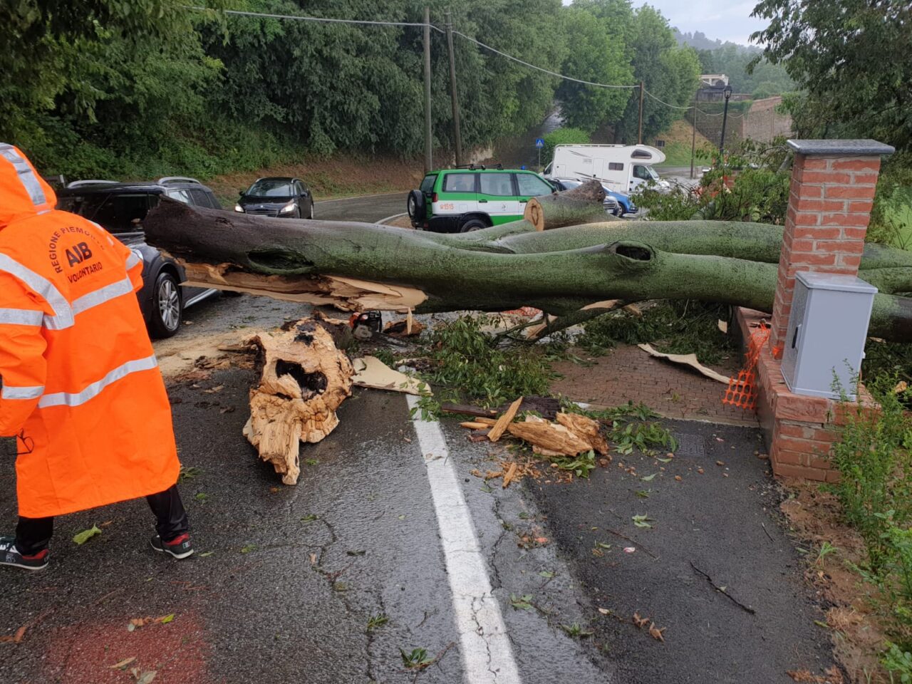 Maltempo, un albero si abbatte sulla strada a San Raffaele Alto
