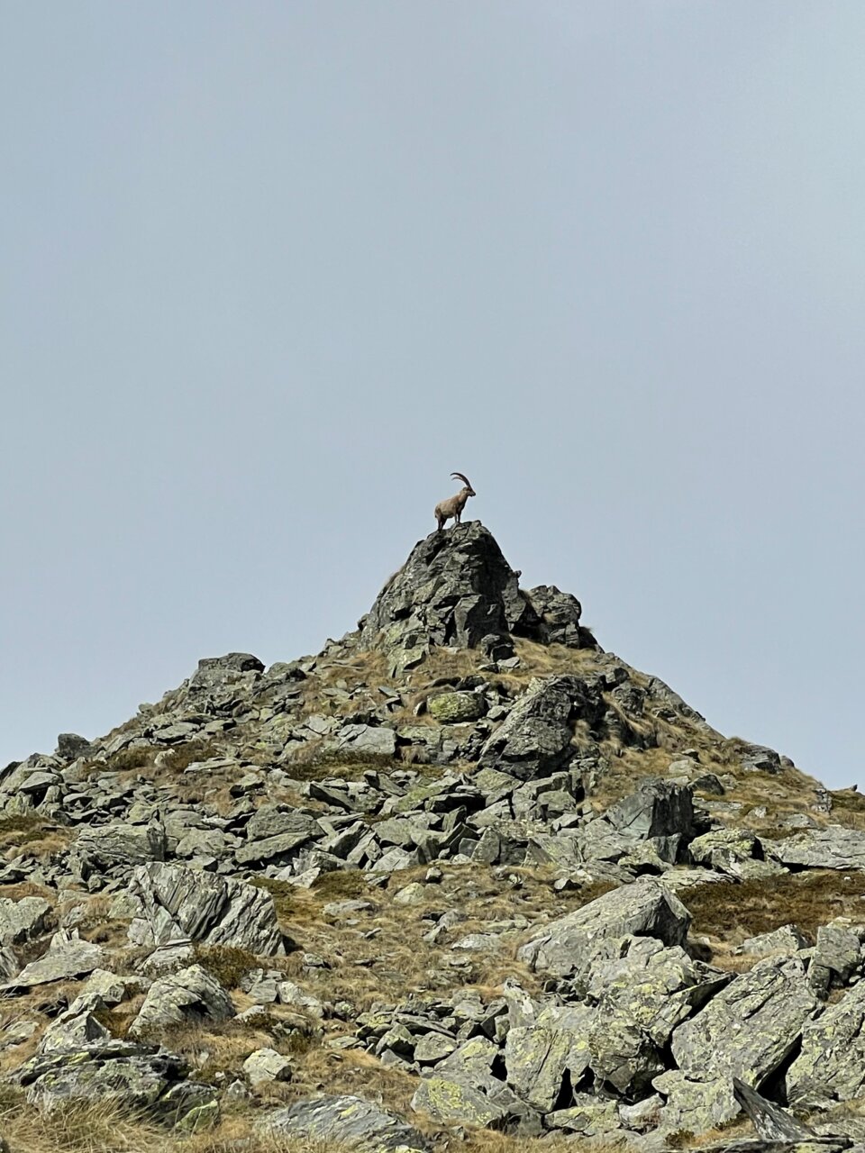 “Cervino CineMountain on tour”: sabato 24 luglio alle ore 21.15 a Gressoney- La Trinité