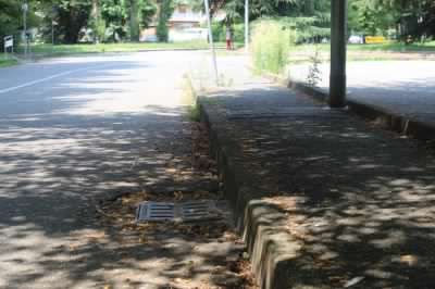 «Denunciamo le condizioni di via Trento senza essere ascoltati»