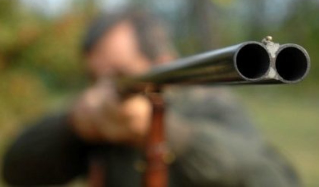 In Piemonte, la caccia continua a eccezione di quattro specie