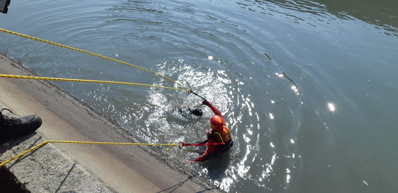 Cade un cane nel canale, salvato dai Vigili del Fuoco
