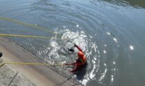 Cade un cane nel canale, salvato dai Vigili del Fuoco