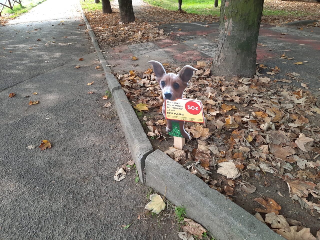 Deiezioni canine, i cartelli di “sensibilizzazione” per invitare i proprietari degli animali a raccoglierle