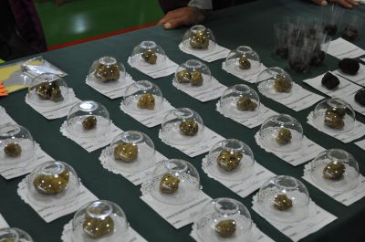 Cosa fare da Settimo alla collina nel weekend (sabato 13 e domenica 14 novembre 2021)