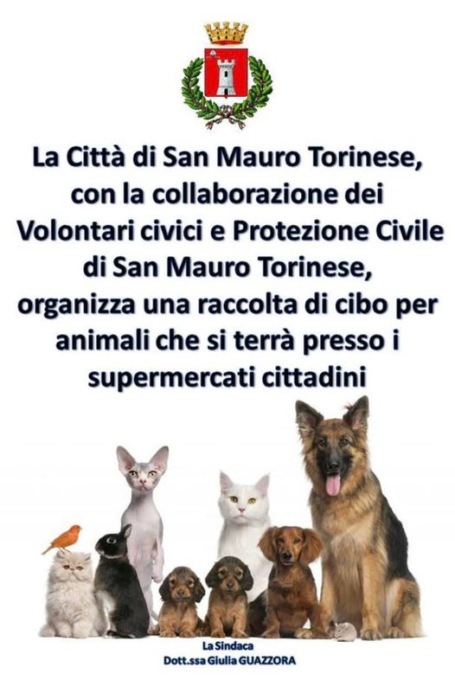 San Mauro, al via  la raccolta di cibo per poter aiutare cani e gatti abbandonati sul territorio