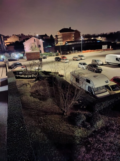 San Mauro, tornano i cinghiali a Sant’Anna