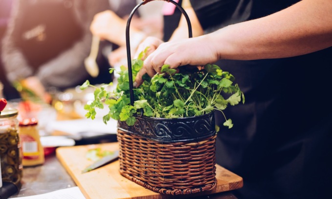 Facciamo l’orto in casa: questa settimana in regalo il coriandolo