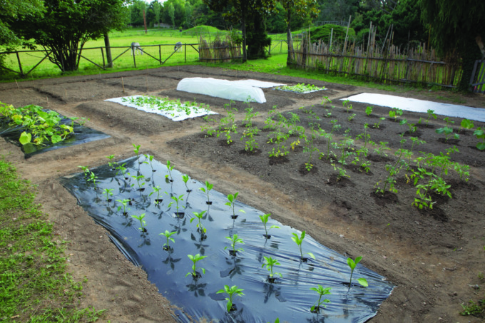 Tenax, la plasticoltura del verde