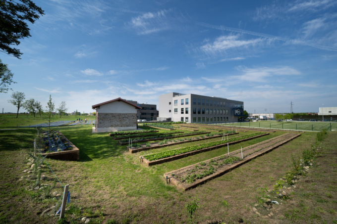 Technoprobe: “Portiamo un piccolo segno di bellezza nella vita di tutti”