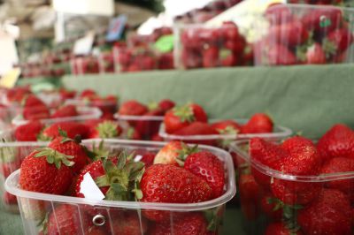 Cosa fare a Settimo e dintorni nel weekend: gli appuntamenti di sabato 28 e domenica 29 maggio 2022